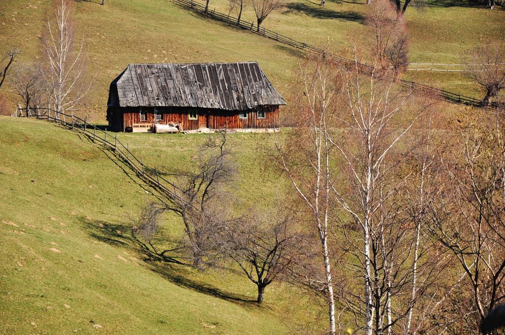 Hotel Samedru Măgura Exterior foto